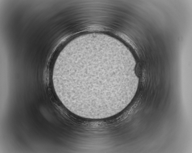 X0000095961067200802081313