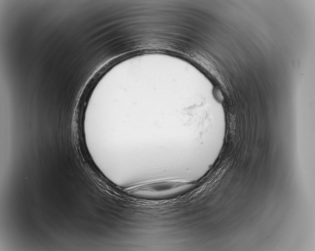 X0000095961068200802081313