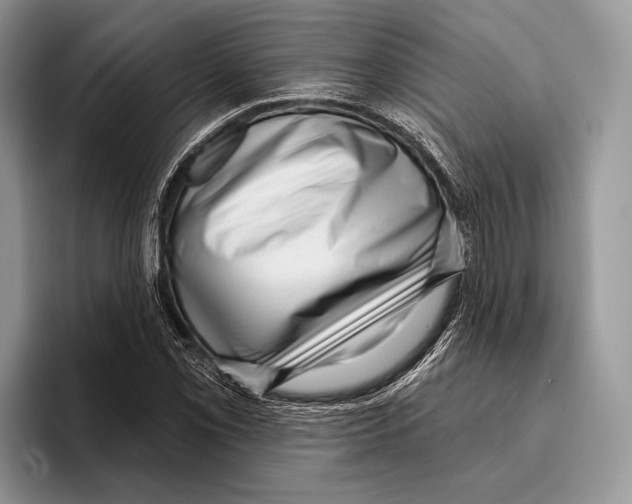 X0000095961069200802081313