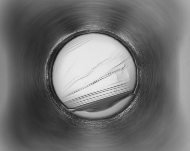 X0000095961070200802081313