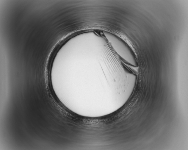 X0000095961072200802081313