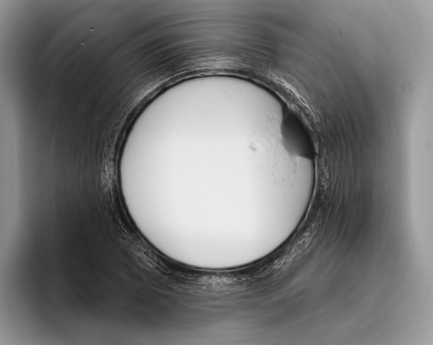 X0000095961073200802081313