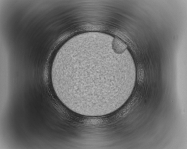 X0000095961074200802081313