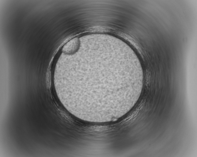 X0000095961075200802081313