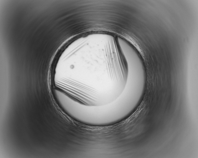 X0000095961076200802081313