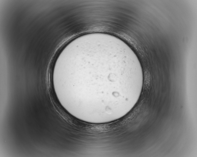 X0000095961078200802081313