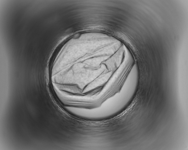 X0000095961079200802081313