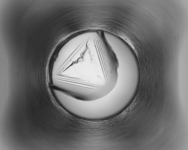 X0000095961080200802081313