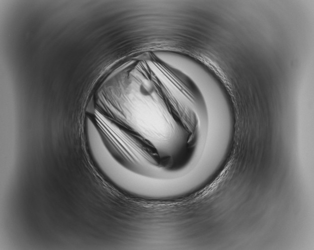 X0000095961081200802081313