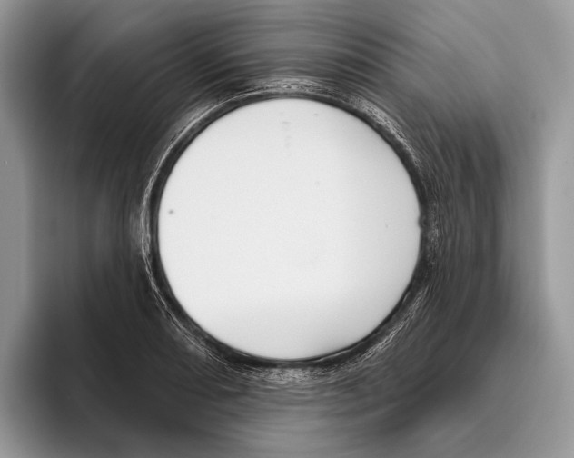 X0000095961082200802081313