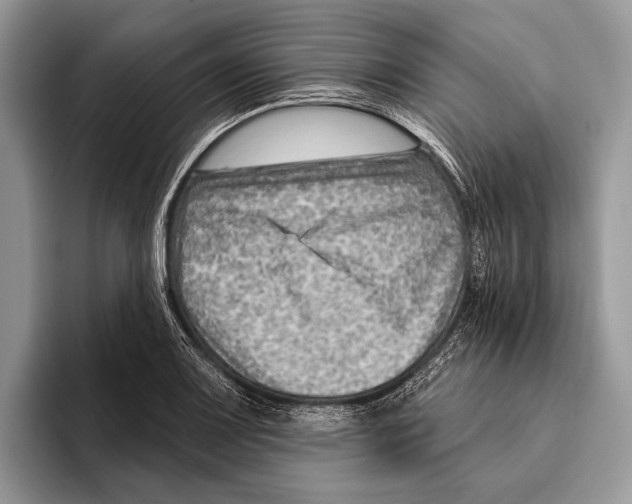 X0000095961083200802081312