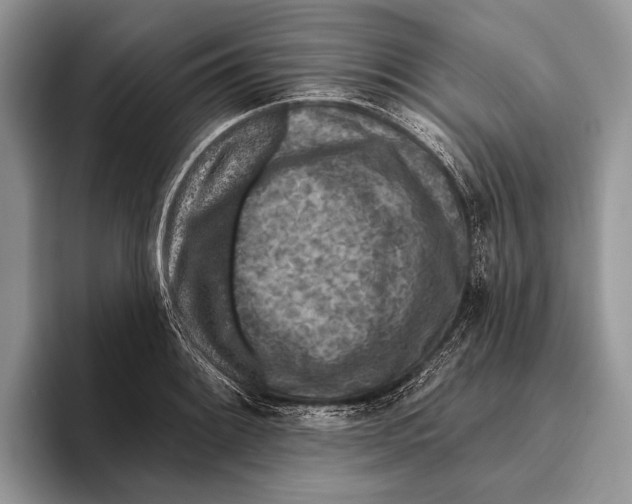 X0000095961084200802081312