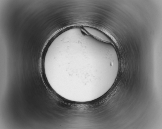 X0000095961085200802081312