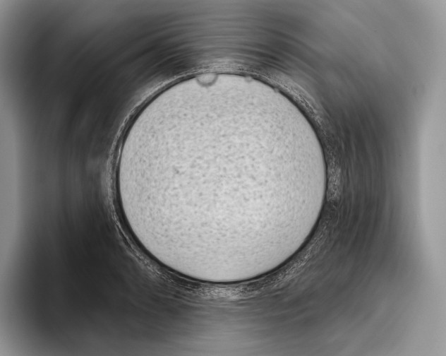 X0000095961086200802081312