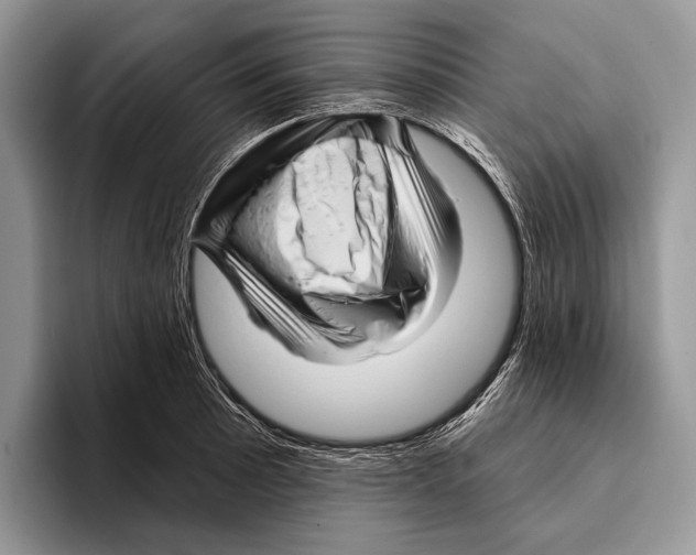 X0000095961089200802081312