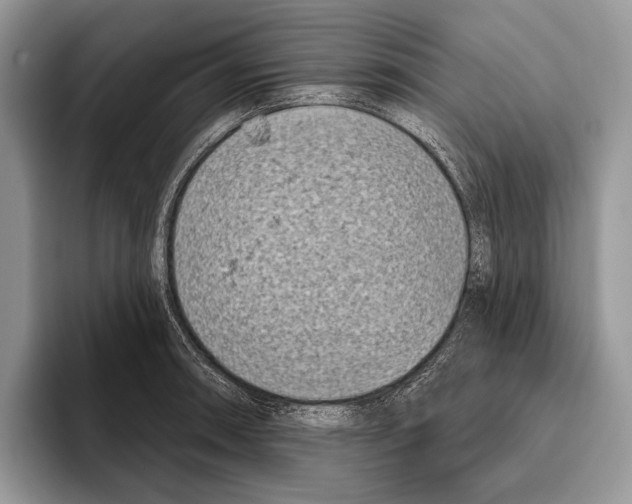 X0000095961090200802081312