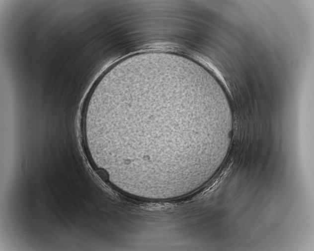 X0000095961091200802081312