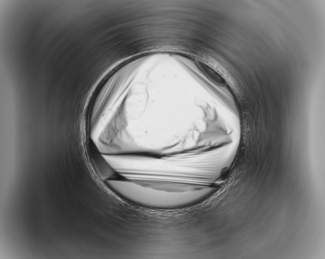 X0000095961092200802081312