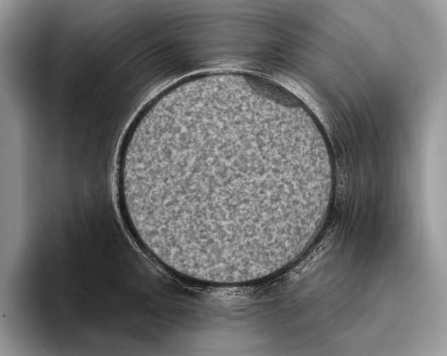 X0000095961093200802081312