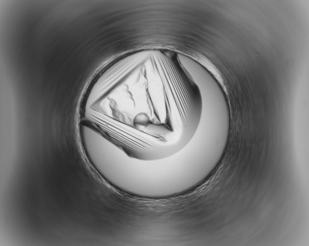 X0000095961096200802081312