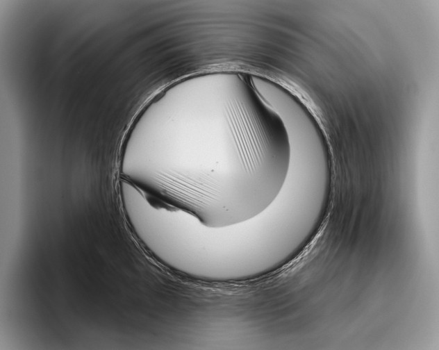 X0000095961097200802081312