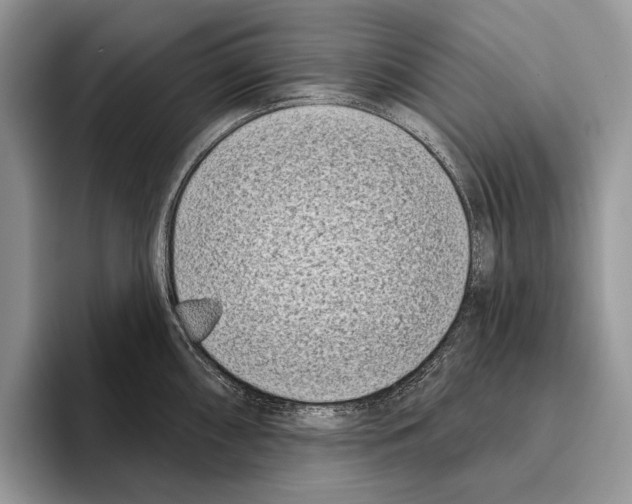 X0000095961098200802081312