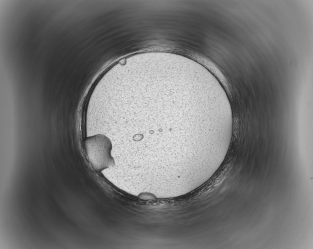 X0000095961099200802081312