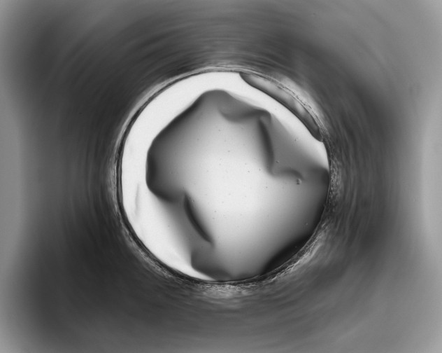 X0000095961100200802081312