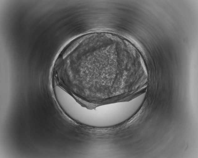 X0000095961102200802081312