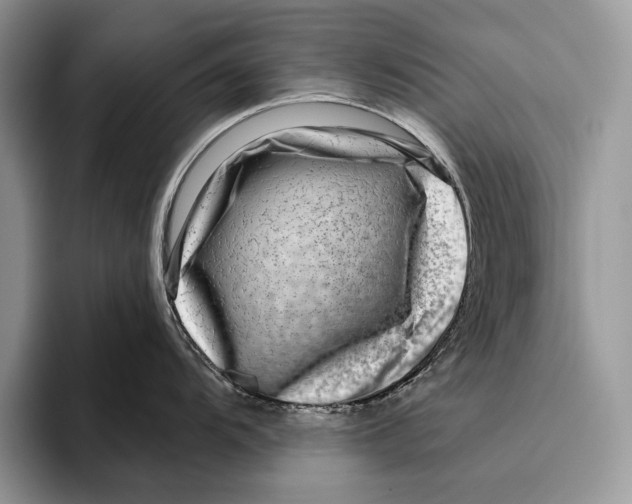 X0000095961104200802081312