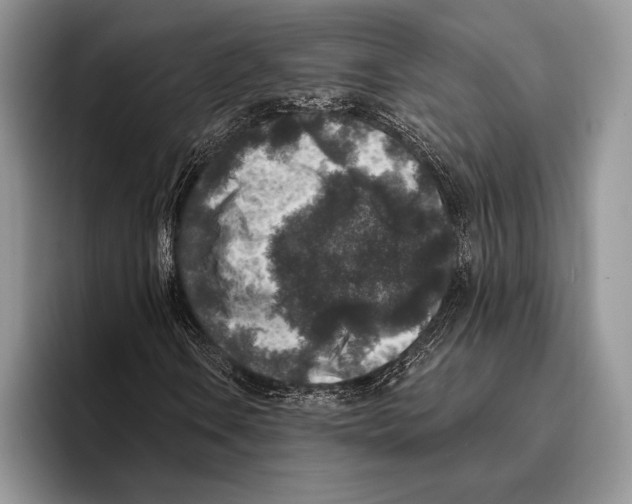 X0000095961106200802081312