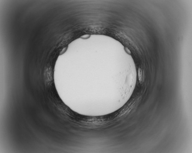 X0000095961107200802081312