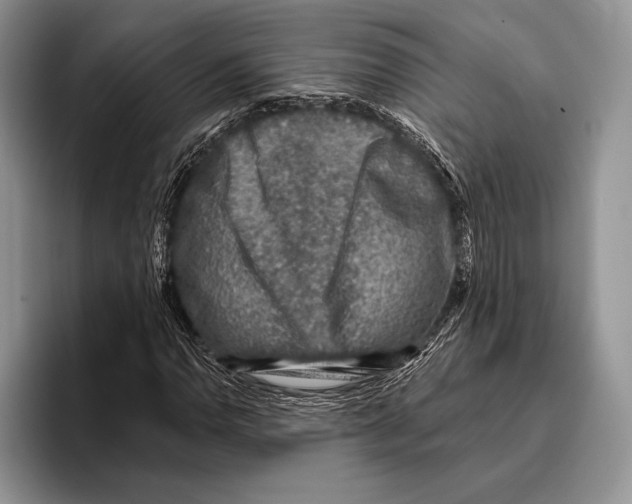 X0000095961110200802081312