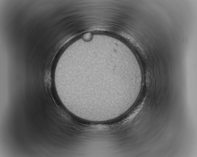 X0000095961113200802081312