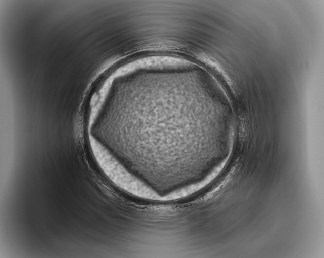 X0000095961114200802081312