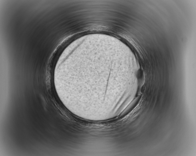 X0000095961115200802081312