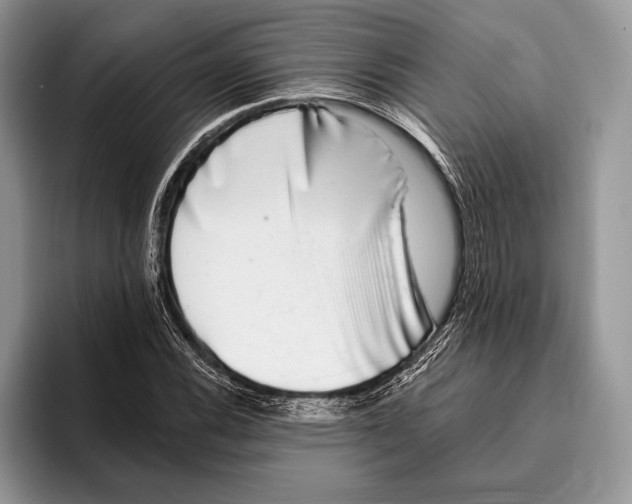 X0000095961116200802081312