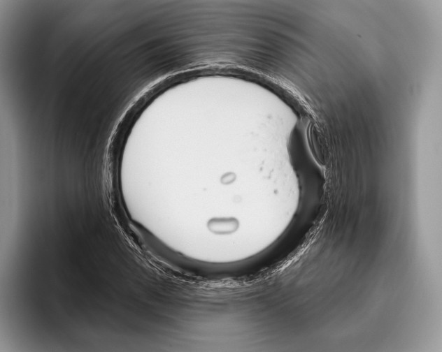 X0000095961118200802081312