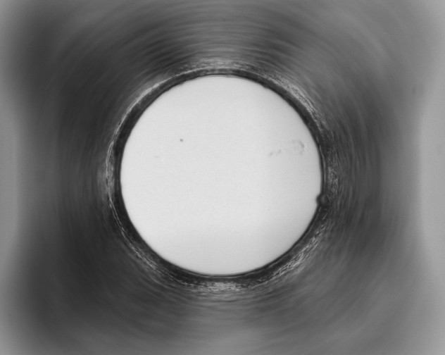 X0000095961119200802081312