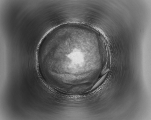 X0000095961120200802081312