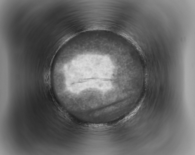 X0000095961121200802081312