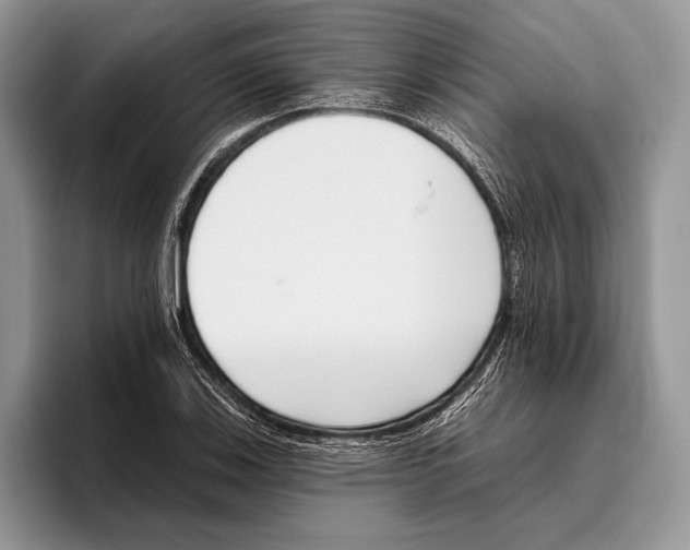 X0000095961123200802081312