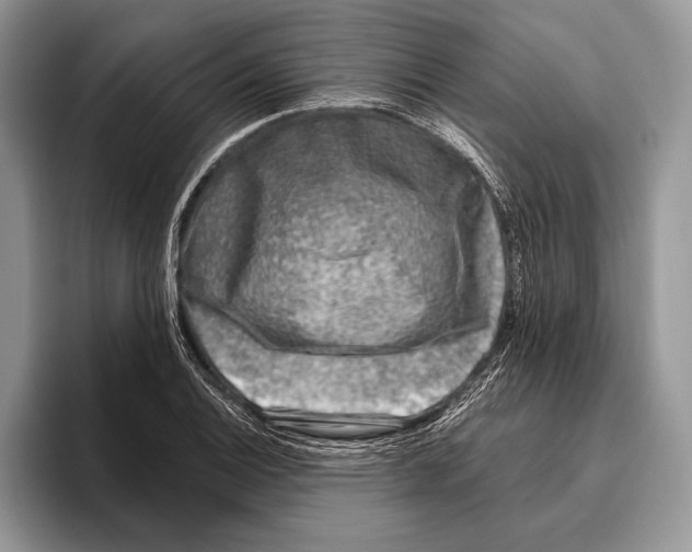 X0000095961124200802081312