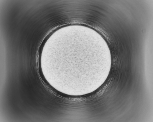 X0000095961126200802081312