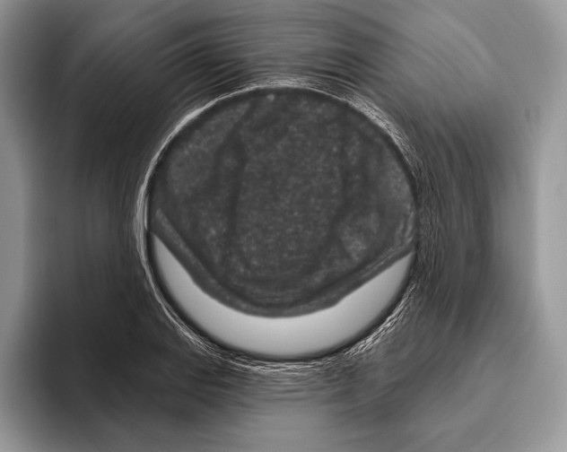 X0000095961127200802081312