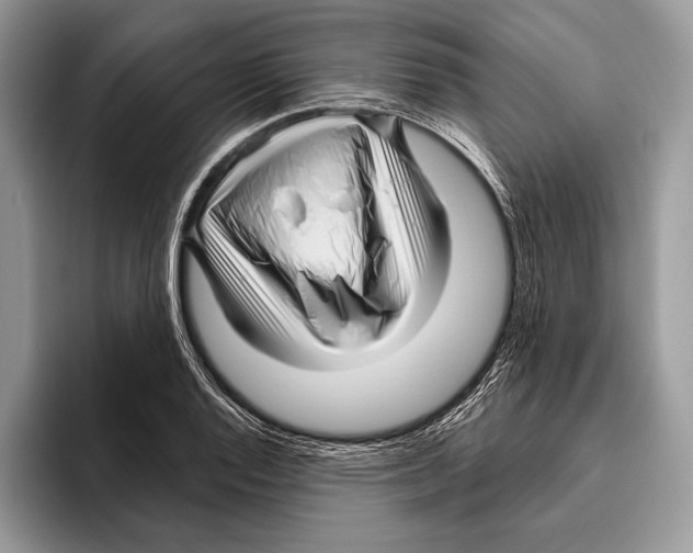 X0000095961128200802081312