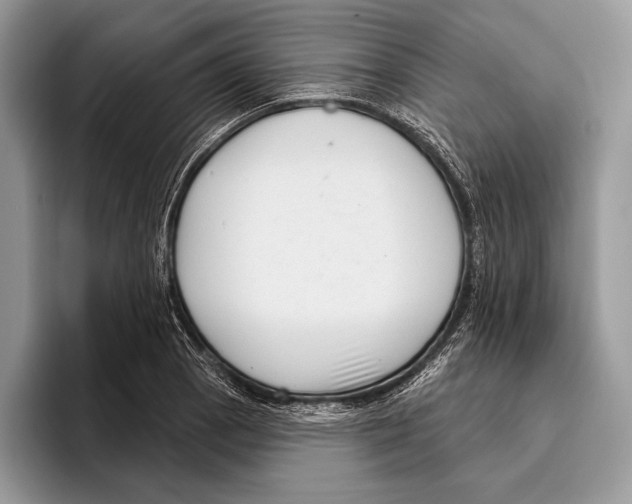 X0000095961129200802081312