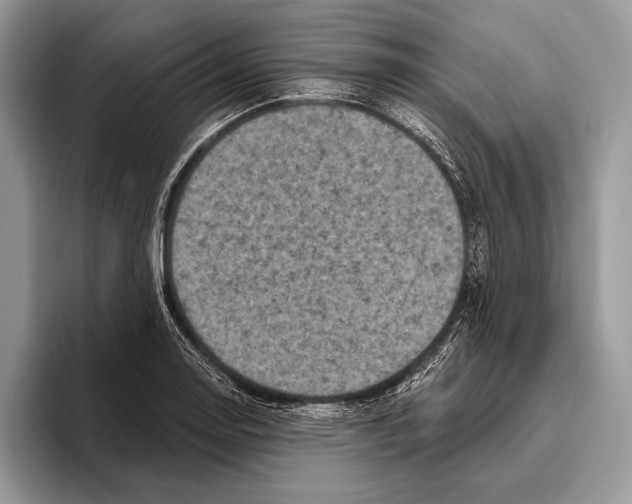 X0000095961130200802081312