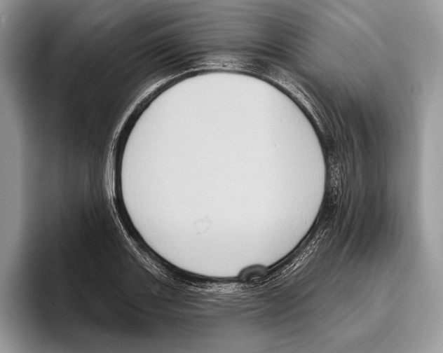 X0000095961131200802081312