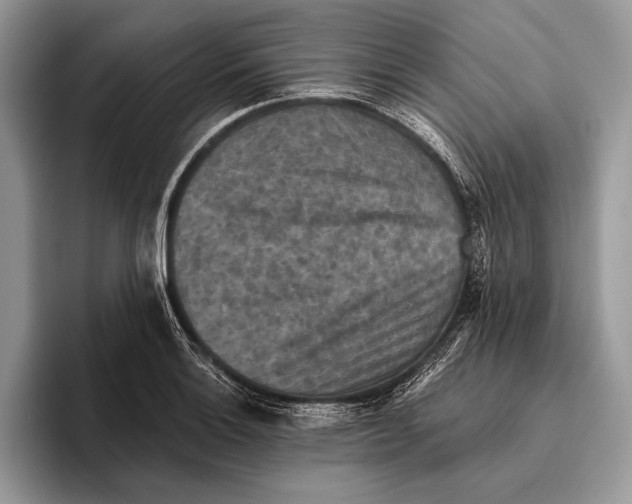 X0000095961132200802081312